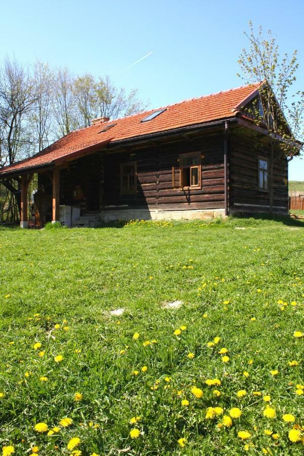 Gospodarstwo Agroturystyczne "Paryja" Olpiny Экстерьер фото